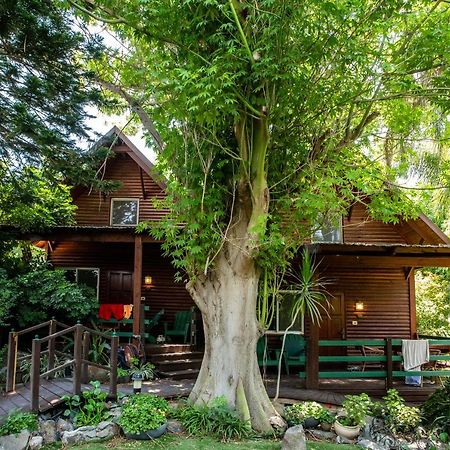 Invito Villa Рош Пина Екстериор снимка