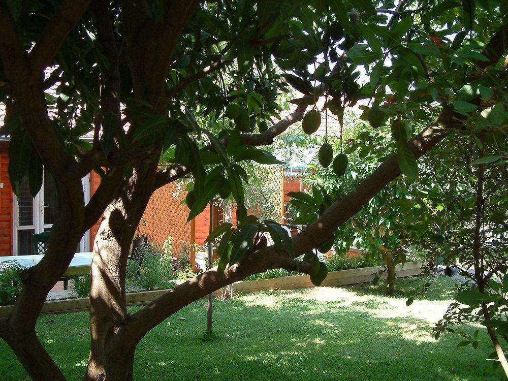 Invito Villa Рош Пина Екстериор снимка